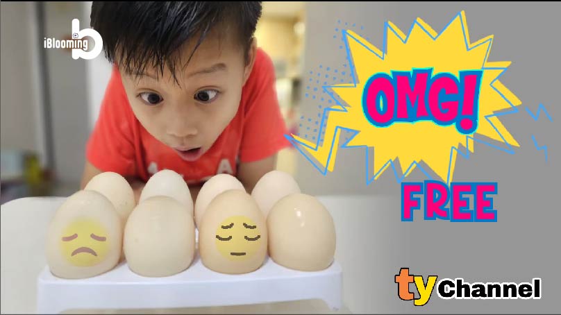 TY Channel OMG Egg