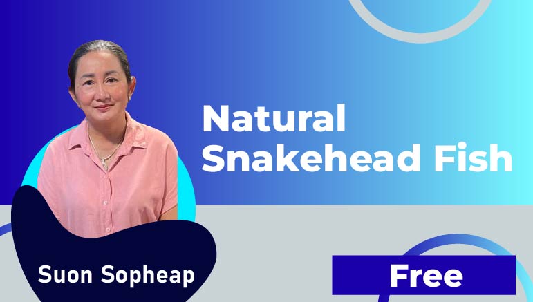 Suon Sopheap – Natural Snakehead Fish