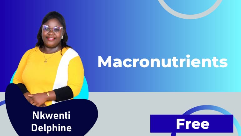 Nkwenti Delphine – Macronutrients