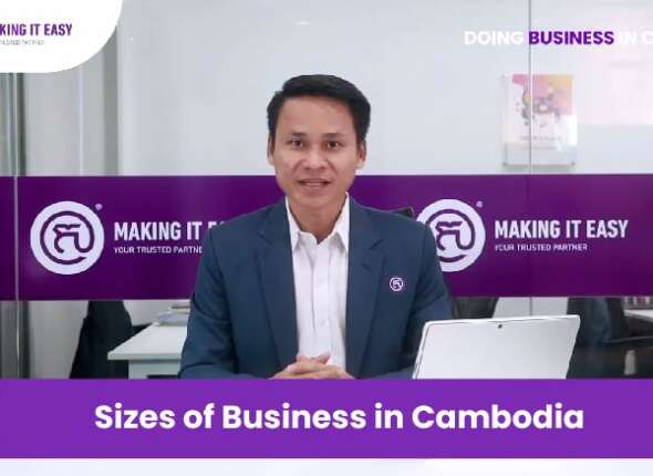 Sizes of Business in Cambodia